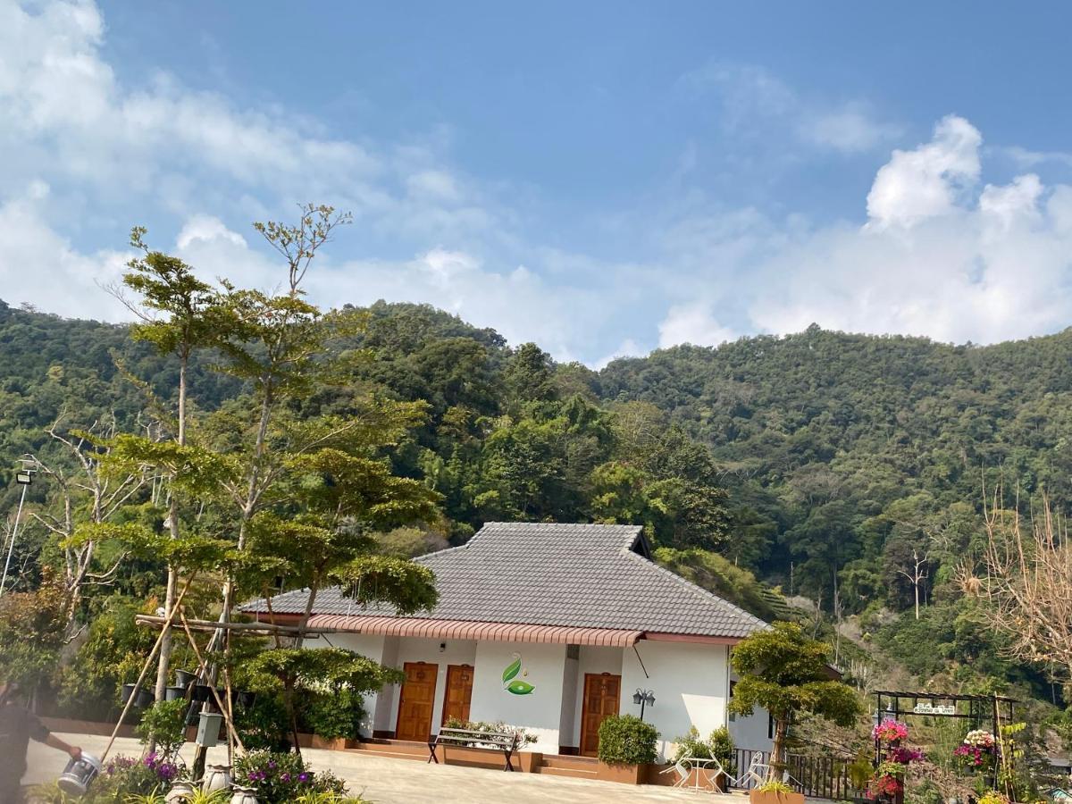 Thai Tea Garden Home تْشينيغْرايْ المظهر الخارجي الصورة